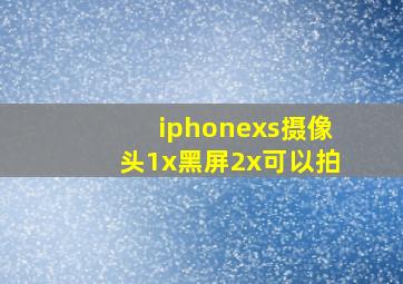 iphonexs摄像头1x黑屏2x可以拍