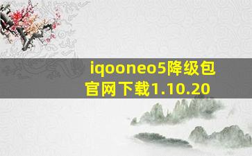 iqooneo5降级包官网下载1.10.20