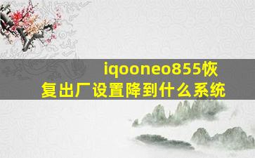 iqooneo855恢复出厂设置降到什么系统