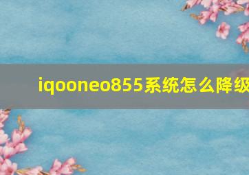 iqooneo855系统怎么降级