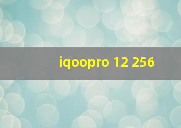 iqoopro 12+256