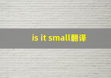 is it small翻译