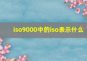 iso9000中的iso表示什么