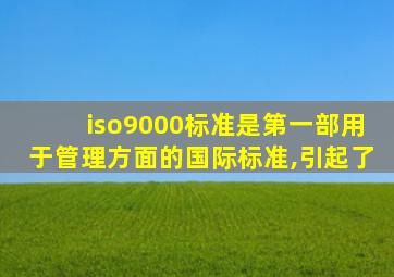 iso9000标准是第一部用于管理方面的国际标准,引起了