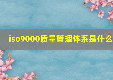 iso9000质量管理体系是什么