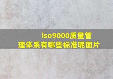 iso9000质量管理体系有哪些标准呢图片