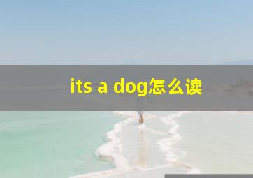 its a dog怎么读