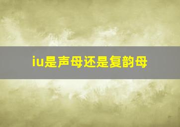 iu是声母还是复韵母