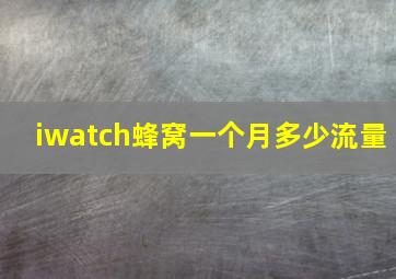 iwatch蜂窝一个月多少流量