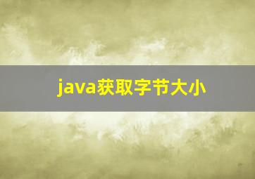 java获取字节大小