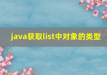 java获取list中对象的类型