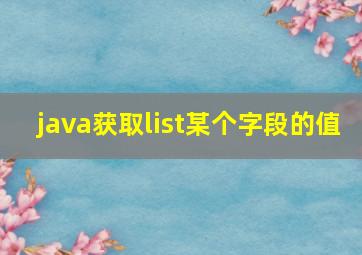 java获取list某个字段的值