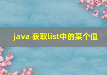 java 获取list中的某个值