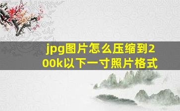 jpg图片怎么压缩到200k以下一寸照片格式