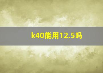 k40能用12.5吗