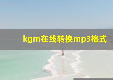 kgm在线转换mp3格式