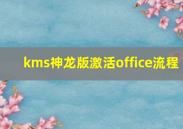 kms神龙版激活office流程