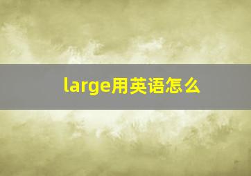 large用英语怎么