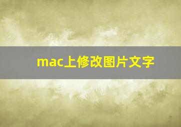 mac上修改图片文字