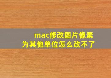 mac修改图片像素为其他单位怎么改不了