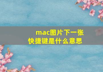 mac图片下一张快捷键是什么意思