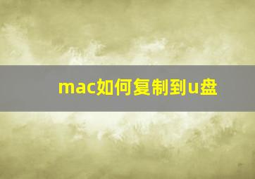 mac如何复制到u盘