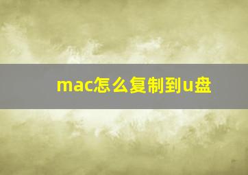 mac怎么复制到u盘