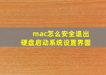 mac怎么安全退出硬盘启动系统设置界面