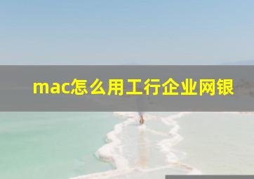 mac怎么用工行企业网银