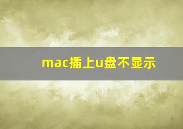 mac插上u盘不显示