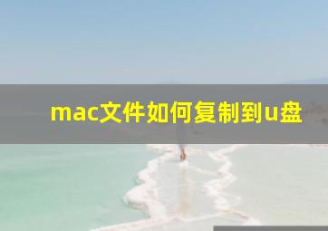 mac文件如何复制到u盘