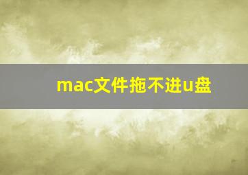 mac文件拖不进u盘