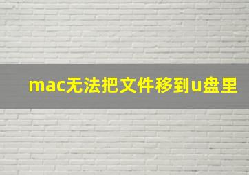 mac无法把文件移到u盘里