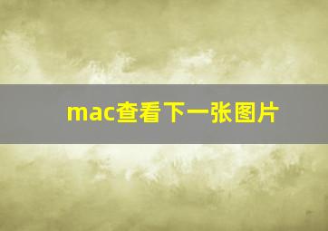 mac查看下一张图片