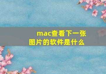 mac查看下一张图片的软件是什么