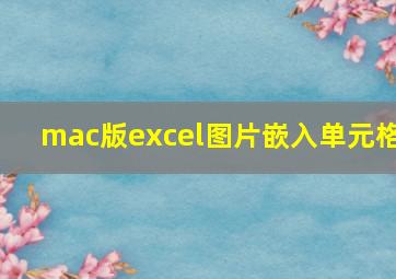 mac版excel图片嵌入单元格