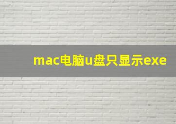 mac电脑u盘只显示exe