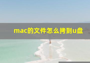 mac的文件怎么拷到u盘