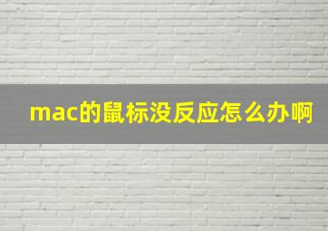 mac的鼠标没反应怎么办啊