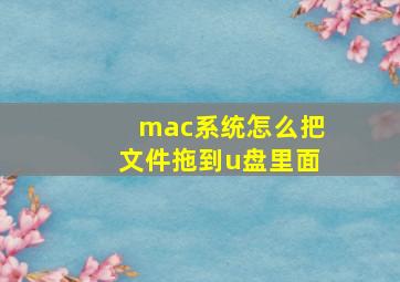 mac系统怎么把文件拖到u盘里面