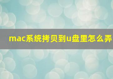 mac系统拷贝到u盘里怎么弄