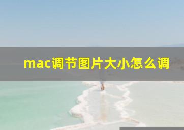 mac调节图片大小怎么调