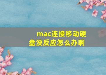 mac连接移动硬盘没反应怎么办啊