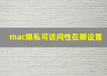 mac隐私可访问性在哪设置