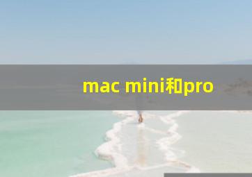 mac mini和pro