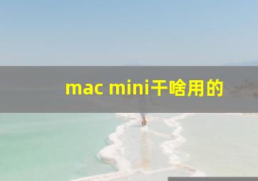 mac mini干啥用的