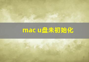 mac u盘未初始化