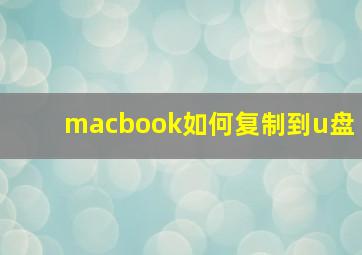 macbook如何复制到u盘