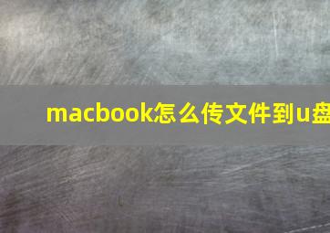 macbook怎么传文件到u盘