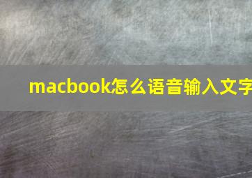 macbook怎么语音输入文字